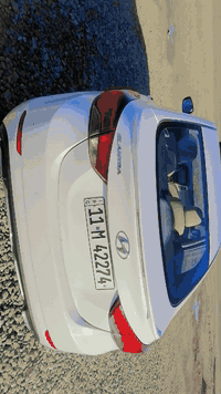 الانترة • ٢٠١٦ • صبغ شبر