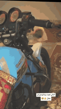 سلام عليكم دراجه ديون رقم كامله موديل 23 اي نقص مابيه تجي شغل وتطلع وين ماتريد سعر مليونين 150 بيه مجال وهذه رقمي ‏‪***********‬‏
