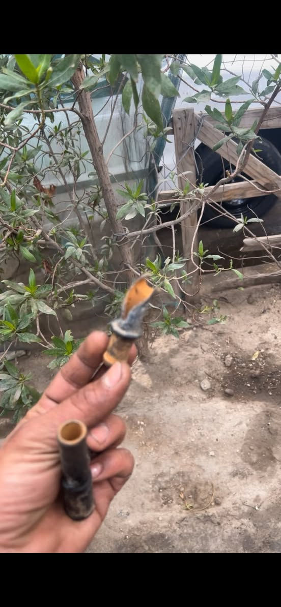 على قولة فلس ماء من 450ألف تنتهي بهدية الة ابو شيبة ذهب تابع ورح تعرف كلشي
يا سبحان الله نيتة صافية 
على الظرف الي هوة بيهة وتحياتي
((انتظر الطامة الكبرى بعد هذة الفديو))
علي حسين السوداني
للاستفسار الاتصال
*********** 
هيثم المحمداوي
