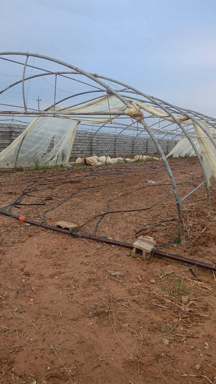 السلام عليكم عندي بيوت العدد اثنين اردني 24 قوس 56 متر العرض 9 نظافه درجه اولى العنوان محافظة كركوك قضاء الحويجه***********
