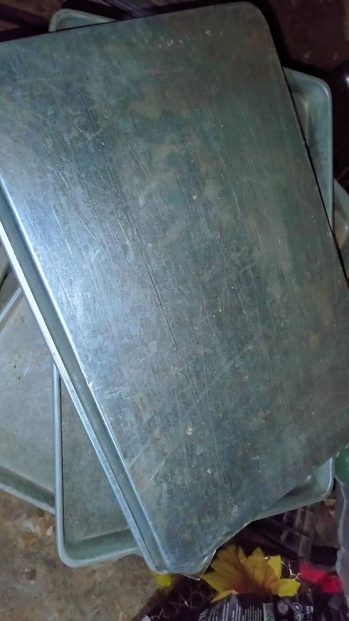 السلام عليكم يوجد لدينه صياني لبقلاوه للبيع العدد50 الاستفسار الاتصال على الرقم ***********
