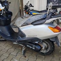 سبيسي • ياباني • كفالة عامة