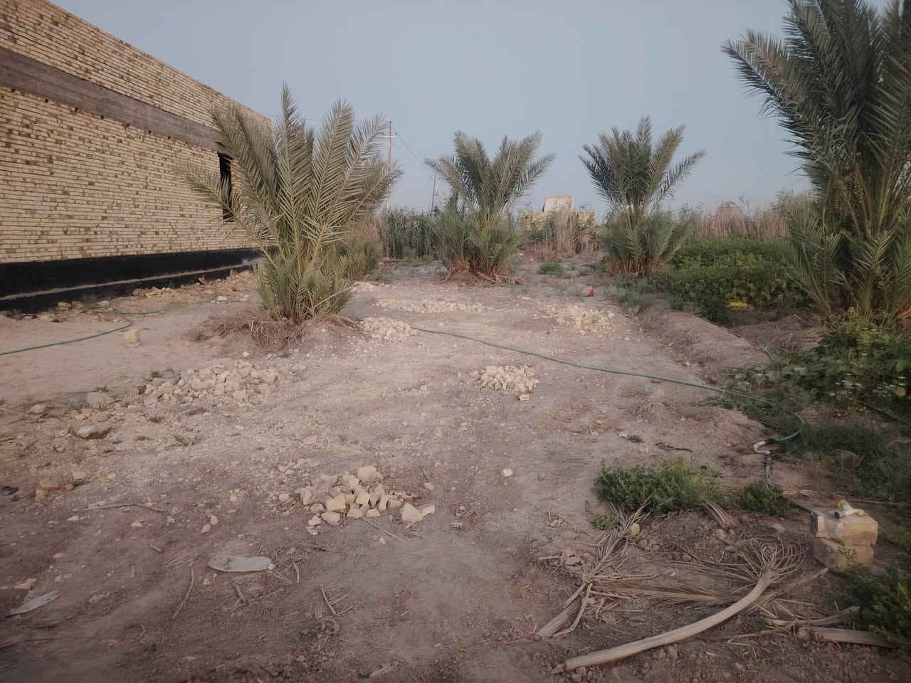 عرصه زراعي  مساحة 330متر خلف حي الجامعه يم  البوصالح واجه 10متر نزال 33متر ***********ماء كهرباء شارع 10متر مجاري كامله
