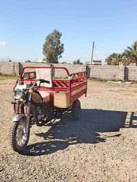 ستوته ام طير • موديل٢٠١٦ • اوراق بيهاء