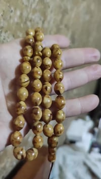 مسباح • كهرب بولوني • ٤٥غم