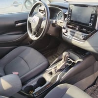 بيكاشو • ٢٠٢٠ • أربيل