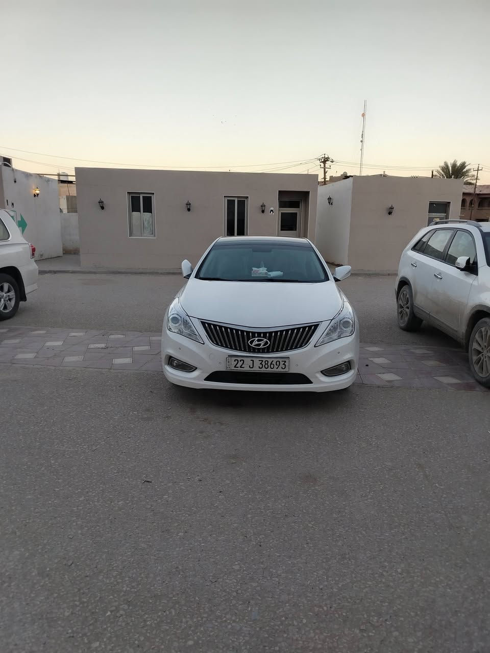 للبيع فول للأخير ماتصرف عليهه دينار واحد *********** الديوانيه السعر ١٤٠
