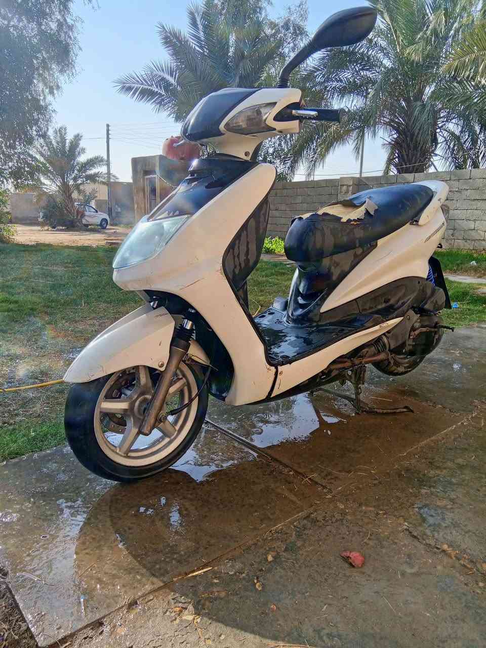 سكنس جاهزه للبيع 600 وبيه مجال *********** المكان قضاء الفجر
