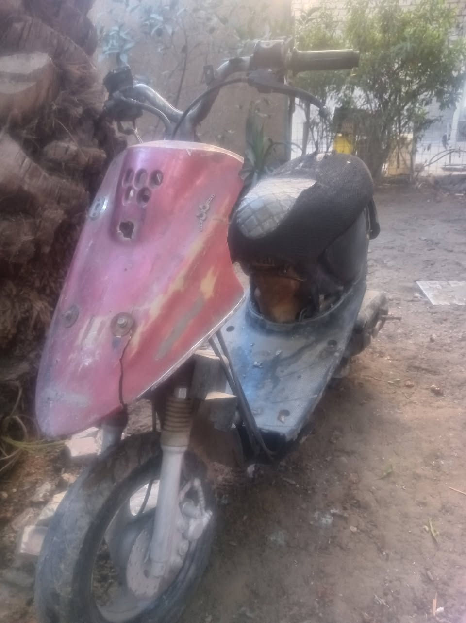 السلام عليكم دراجه 60 تجفيت جديد بس طفت ع فجئه تشتغل وتطفه أبيع هل موجود كوم حديد 75 وبيه مجال رقم للاتصال *********** متواجد واتساب فقط مكاني بغداد حي الفرات قرب مطار بغداد
