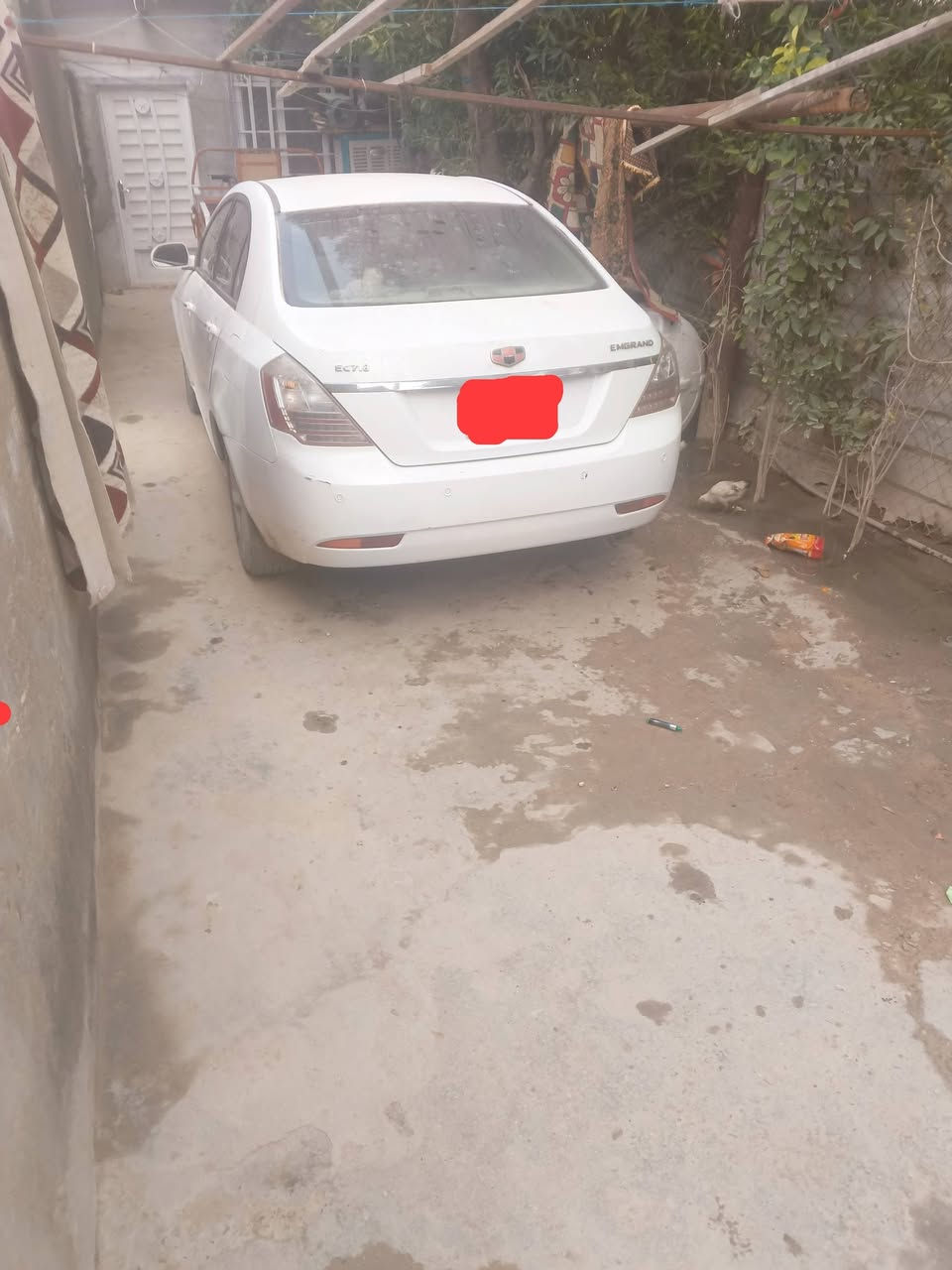 سلام عليكم سياره ام كراند في كربلاء مكفوله كفاله عامه ما نقصه اي شي مكفوله من كلشي رقم لهاتف ***********سعر 50
