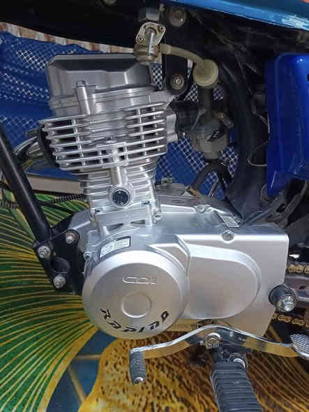 السلام عليكم دراجه نامه للبيع أوراق أصولي مديل شاصي 2022 تعمير 2025 الدراجه ما صارله هواي من متعمره مكينه رابيدو أقوى مكينه بالسوك شرط شلعه ومعدل المكينه بعدهي جديدة صارلي أسبوعين من شادها يعني ستوه مسحوكه الدراجه كهربائيات كله شغاله الدراجه بعد أحلى من الصور الدراجه تجي تفحصه وتاخذها
السعر (مليون وخمسين) وبيها مجال للطيبين
الهاتف   ***********
         ‏‪***********‬‏
متواجد فيس بوك واتساب
