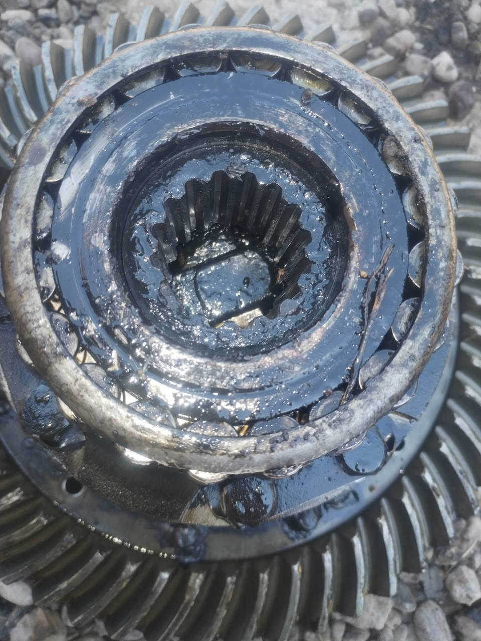 اسلام عليكم اكسن عنتر للبيع  ملحوم داير بيه شكم سن مثلوم  عنوان كربلاء ***********
