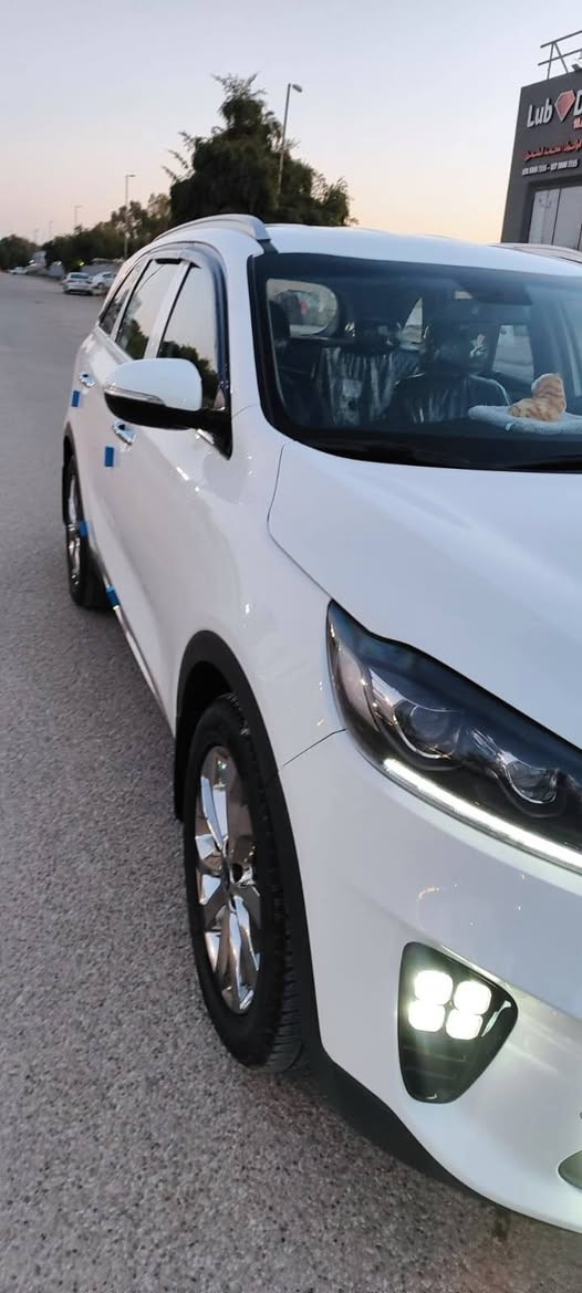 ،السلام عليكم ورحمه الله وبركاته
@بيع او مراوس حسب القناعه
كيا سورنتو وارد خليجي 
موديل 20 رقم بغداد باسمي
ارقام انجليزي باسمي 
كفاله عامه عدا ملاحظه 
  كفاله من فتح 
كفاله من صبغ كفاله من تبديل 
كل السياره كفاله عامه 
عدا  ربع بنيد كرت
فقط باقي  كفال الشرط 
واني مسؤول افحص باي مكان
محرك 6 سلندر كفاله 
كير 8نمر كفاله 
ثلاث قطع تبريد 
شاشه جي بي اس انفكيشن 
تحكمات ميري شفط 
حساس خلفي امامي كاميرا 
كشنات كهرباء جلد اصلي لونين 
حداديه جديده شرط 
دبل شباك نيكل 
سبعه راكب 
سياره ماشي 52 حقيقي 
ويل 19 مراوس حسب القناعه 
العنوان النجف الاشرف 
السعر 260 اتصال او مراسله واتساب 
***********
