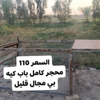 محجرات • كاملات • بابل