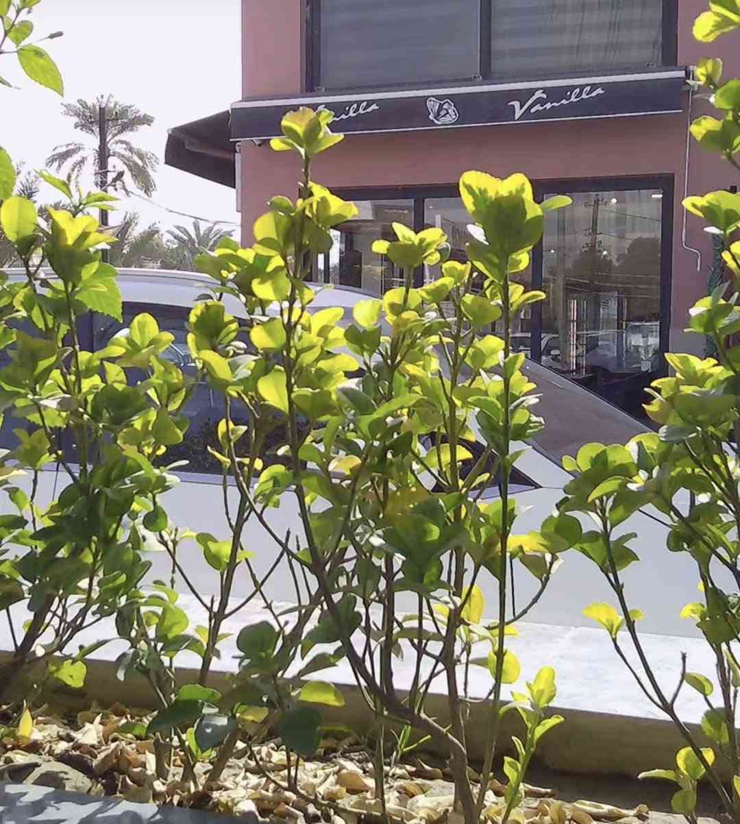 السلام عليكم ورحمة الله كامراه ديجتال 4k
وياها بطاريه ورام والكتلوك 
بيها فلاش تصويرها حلو 
جوده متوسطه 
السعر ٥٥ الف


**إذا كنت صاحب هذا الإعلان وتريد حذفه لأي سبب، رجاءا أرسل رسالة إلى الدعم الفني**