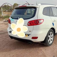 سنتافيه • ٧ راكب • كشنات جلد