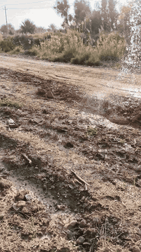 يوجد دوانم البيع خلف سايلو بعقوبة بقابيل كليه ديالي خدمات كامله ماء كهرباء مستوصف وتبليط تصل, ***********//***********
