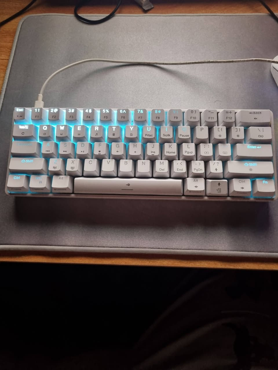 السلام عليكم 
كيبورد ميكانيكي dieriya DK61SE 
نضيف مابيه اوساخ وشرط الفحص كلش سلسل ومناسب للالعاب ينربط بكيبل تايبسي 
سعره ٢٠ الف


**إذا كنت صاحب هذا الإعلان وتريد حذفه لأي سبب، رجاءا أرسل رسالة إلى الدعم الفني**