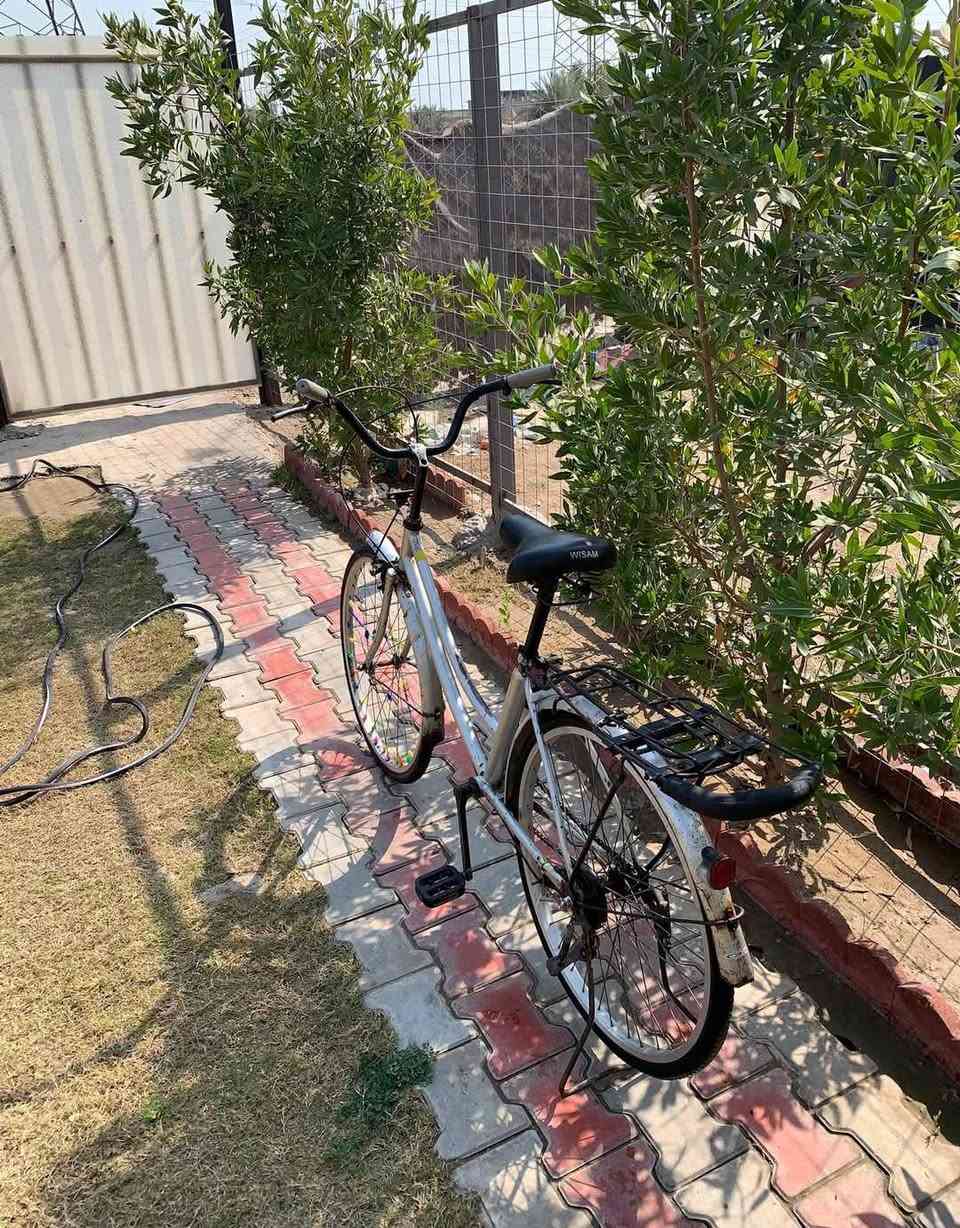 بايسكل بناتي حجم ٢٤ نضيف سعر ٦٠ بي مجال مكاني بغداد الدورة


**إذا كنت صاحب هذا الإعلان وتريد حذفه لأي سبب، رجاءا أرسل رسالة إلى الدعم الفني**