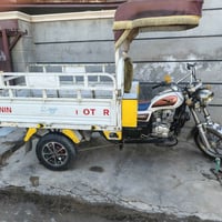 ستوته ام الطير الفحل العالي  للبيع موديل 21مكفوله مرقمه كامل كلشي ثاني...