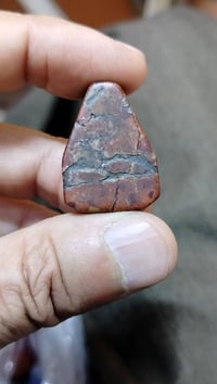 تحفة • مقتنيات