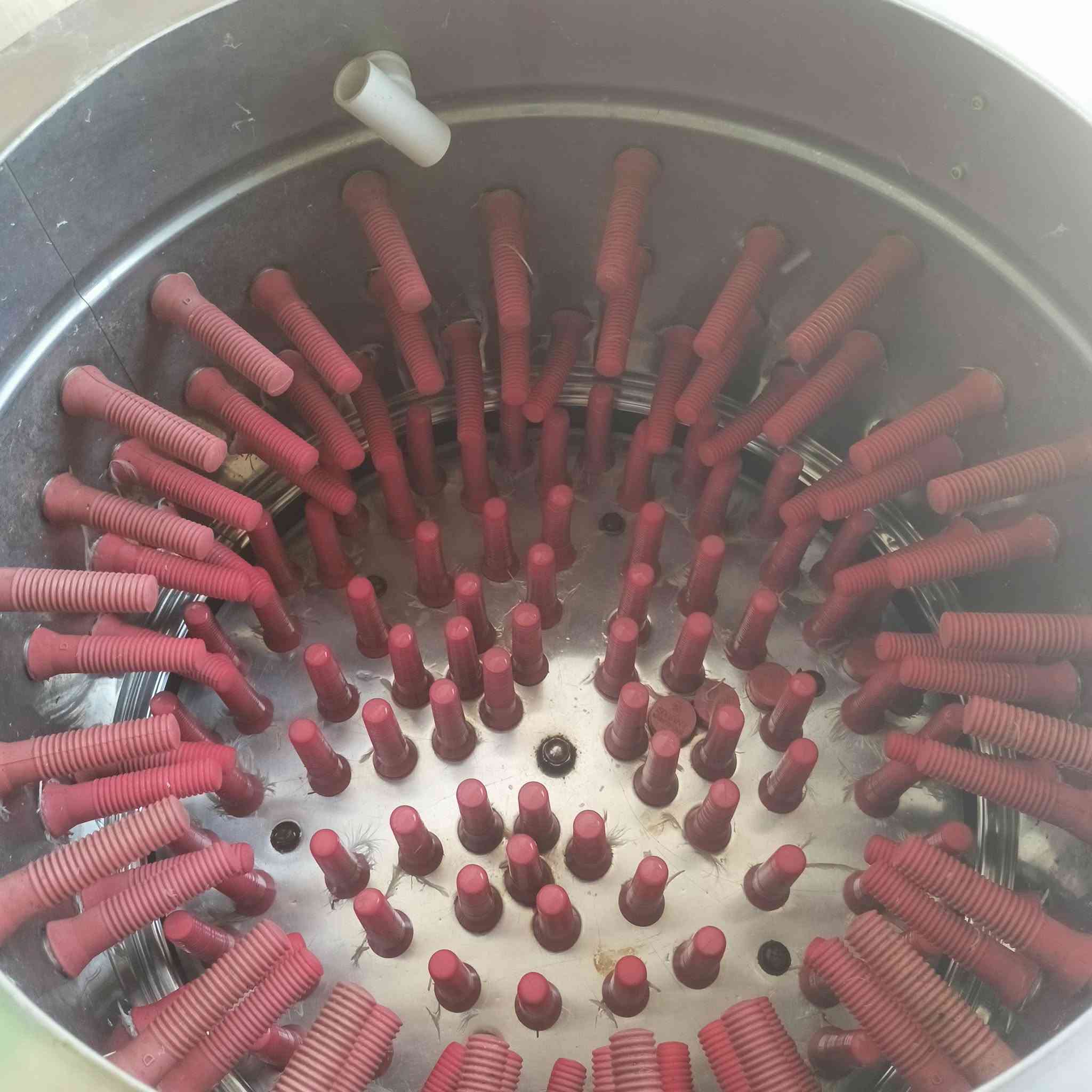يوجد غراض محل للبيع دجاج كاملة للبيع واستخدام قليل 
الموقع مجاور علوة اهل الديرة 
اللطيفية مدخل المزرعة للاستفسار الاتصال على الرقم التالي 
***********
***********
