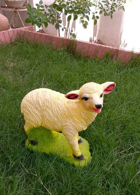 تم وصول تحفيات وديكورات حدايق  وبظاعه  جديد من الفخاريات والتراث القديم عنوان المحل هيت شارع المصرف يوجد توصيل داخل هيت 1000 رقم الهاتف ***********
