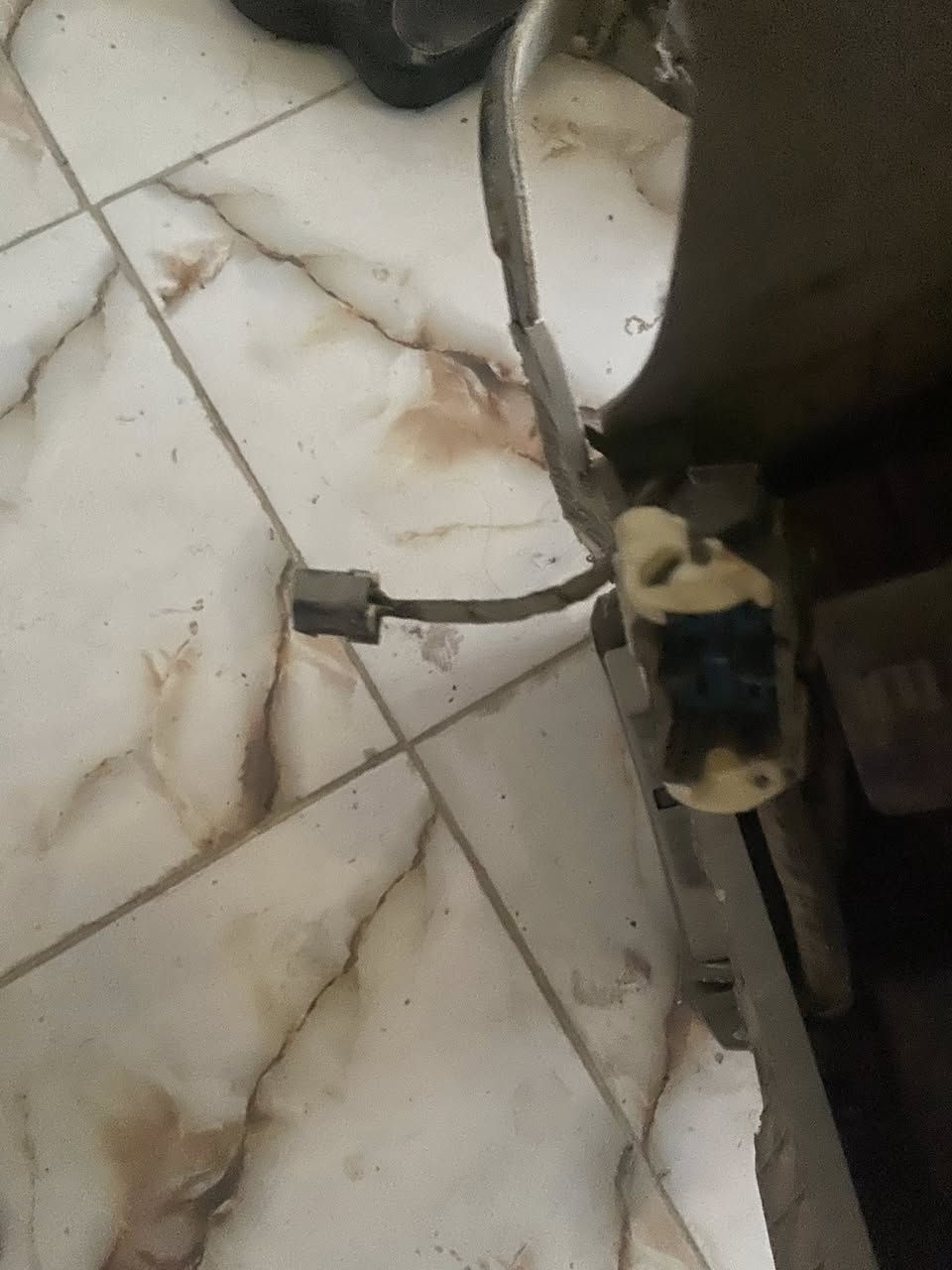 قيم بما يرضي الله وبيك خير وتدلل العنوان بصره


**إذا كنت صاحب هذا الإعلان وتريد حذفه لأي سبب، رجاءا أرسل رسالة إلى الدعم الفني**