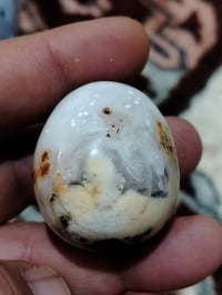 يمانية كبيرة • مصورة • نص بيضة