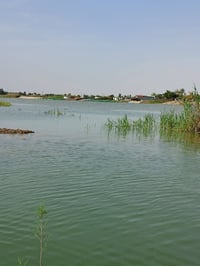 دوانم شاطيه • الداحره • حسب الموقع
