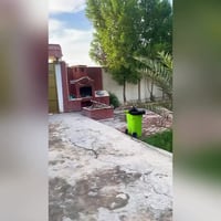 مزرعه صيف ١ للتواصل ع رقم ٠٧٨٢١١٠٠٢٠٠ موثقه عد اجرلي ابوغريب حميد شعبا...