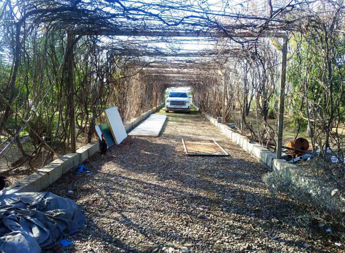 🔷ئەم باخە بۆفڕۆشتن 

🔻ڕووبەری١ دۆنم و نیوە ٣٧٥٠ مەتر

🔻صالح ئاغا بەرامبەر نادیەکە

🔻کامل سیاجە ئاو کارەبای خۆی هەیە

🔻٢ ژووری ٤ بـــە٥ ی تێدایە

🔻بەنزیکەی ١٠٠ داری بەری تێدایە

🔻جێگای ئاژەڵ بەخێوەکردنی تێدایە

🔹🔸🔹🔸🔹🔸🔹🔸🔹🔸🔹🔸

🔹بۆ زانیاری زیاتر و زانینی نرخ پەیوەندیمان پێوە بکەن⬇️
نوسینگەی قۆرەتوو ***********
