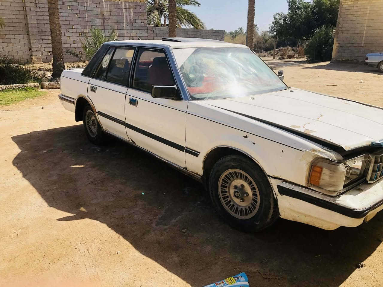 سلام عليكم ورحمة الله وبركاتة 
سوبر للبيع موديل 85 مكينه وكير نضيفات كير توني شاده حداديه كامله سنويه ساقطه راعيهه ماندله بس عندي بيهه وكاله ابيعك كوم حديد  سعر 20بيهه مجال مكاني سوك الشيوخ ناحية الفضليه اتصل ‏‪***********‬‏ وبيك خير وتدلل
