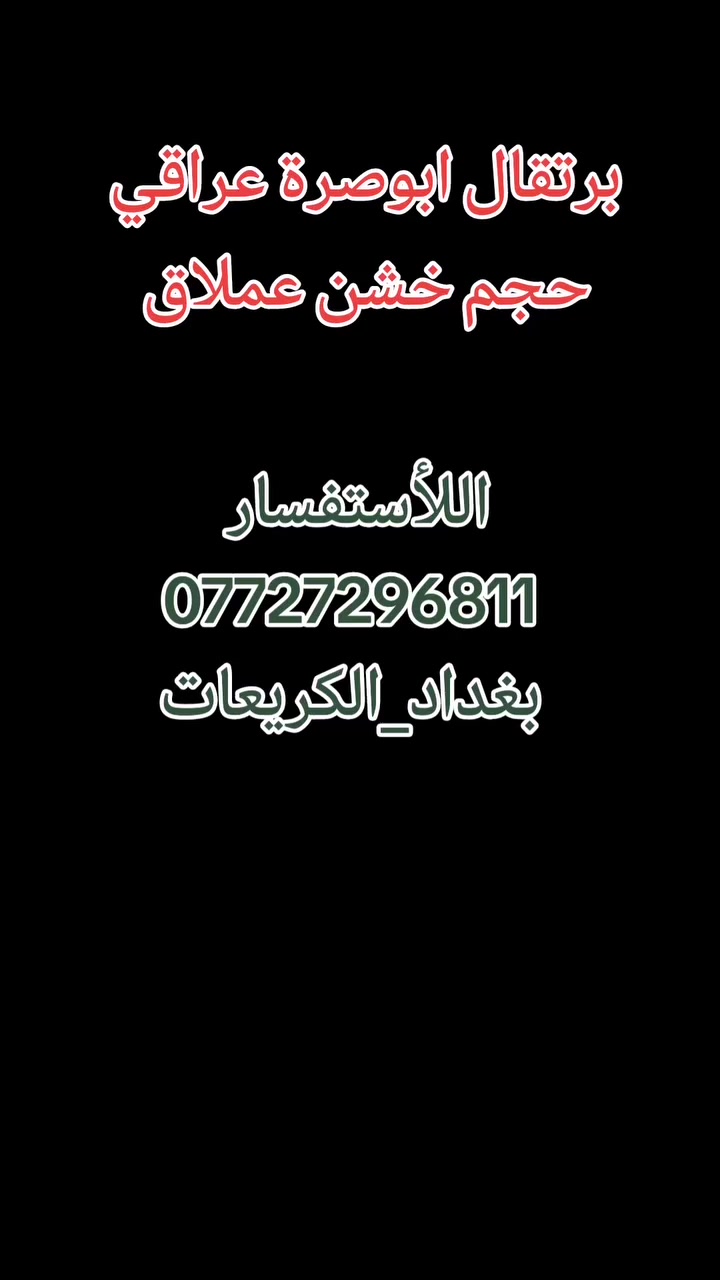 أنتاجنا من شتلات البرتقال ابو صرة  العراقي🍊
 عود خشن ارتفاع مترين
تجهيز جملة ومفرد جميع أنواع الحمضيات بأنسب الاسعار
للاستفسار الاتصال على الرقم او مراسلة واتساب حصرا 
***********
العنوان بغداد الكريعات
#أكسبلور #زراعة #حمضيات #ليمون #مشاتل #بساتين #مشتل #العراق #بغداد #الكريعات #مشتل #حديقة #برتقال #لالنكي #سندي #كريب_فوت #أشجار #فواكه #مشتل_حجي_لؤي
