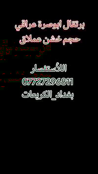 برتقال أبو صرة • ارتفاع مترين • بغداد الكريعات