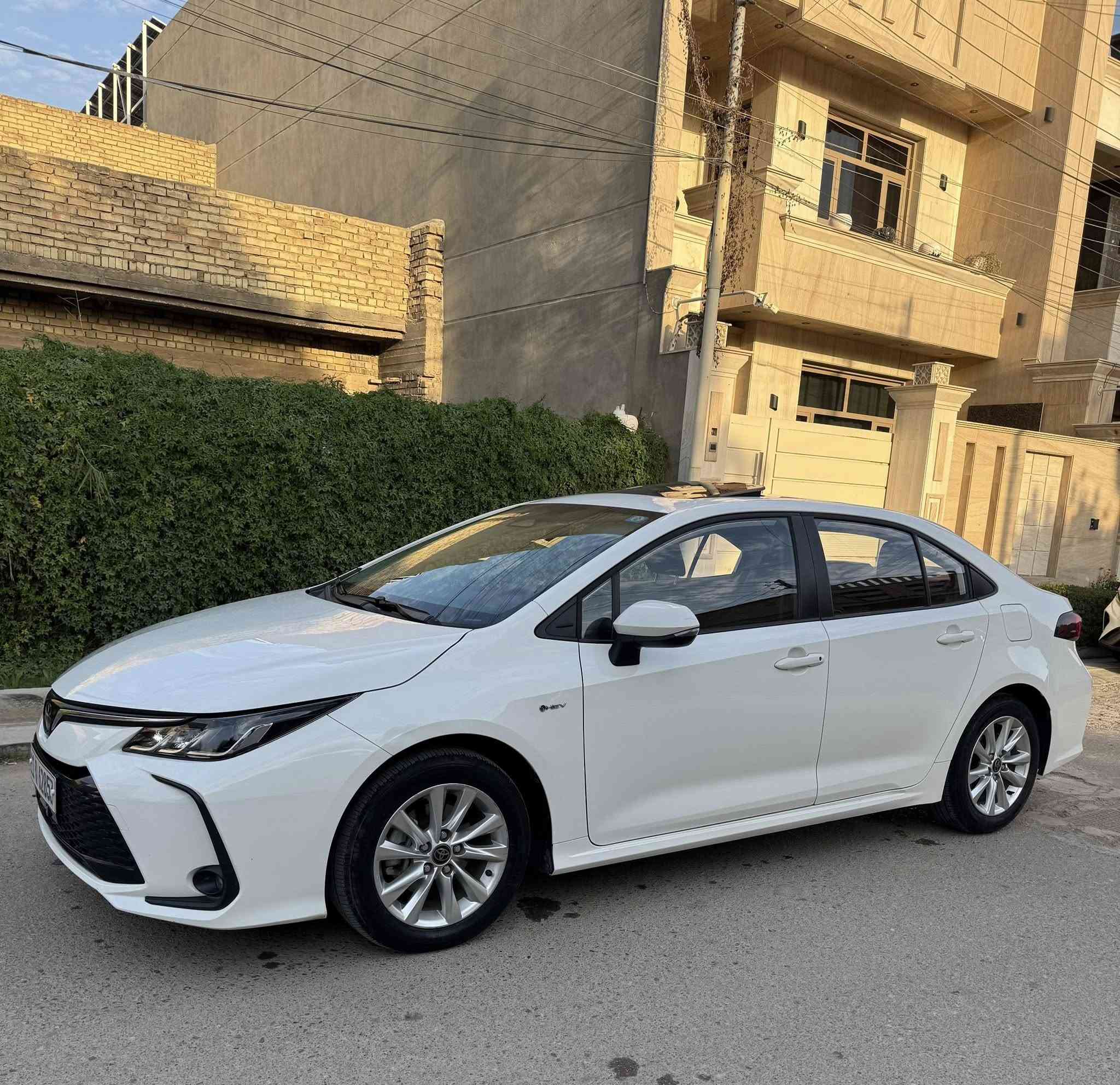 كورلا 2024
هايبرد شكل خليجي

مكفوله من صبغ

بيه بارد باب خلفيه

سلايد 
بصمه
تحكم استيرن
كروس سرعه 
جلد
ماشيه ٢٤ 
تحديد مسار
سايد بريك بصمه
نضام مود
اوتو هولد
لايت زنون بلوجكتر زنون

مكاني بغداد الدوره 

السعر 144

***********
