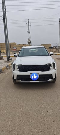 سورينتو • ٢٠٢٤ • ٤٦٠٠٠ كم