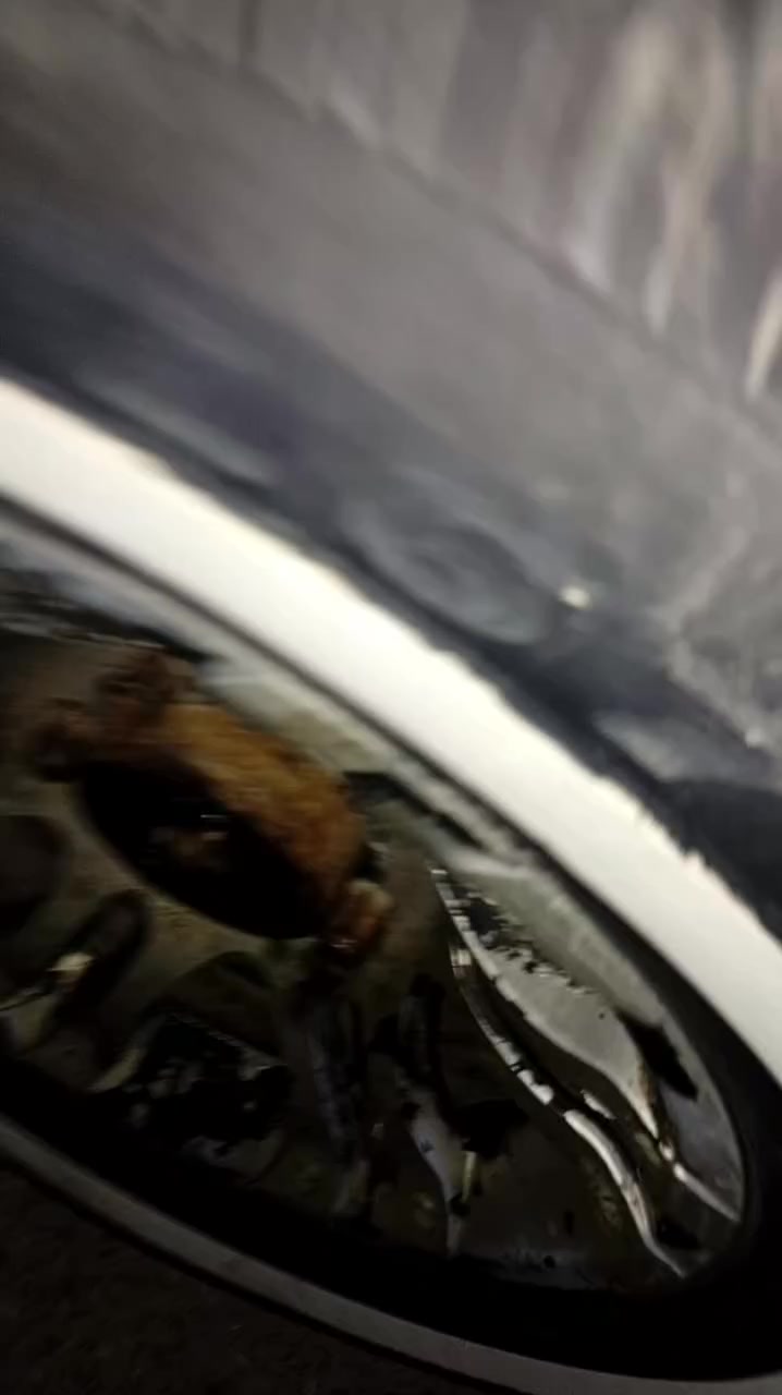 السلام عليكم واز للبيع ***********‬‏
