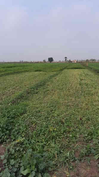 #اعلان_من_بريد_الصفحة 
مزرعة  6 دونم باسم شخص واحد سند25
تحتوي على دار سكني بمساحة 500 متر 
واصل كهرباء ماء خدمات صالحة للسكن والزراعة
الموقع : اليوسفية - حي الشهداء _قرب نجم الصباغ
       للتواصل الاتصال بالارقام التاليه 
***********-***********📞
