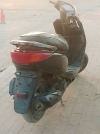 بريس شغاله • مراوس ايرانية • للبيع