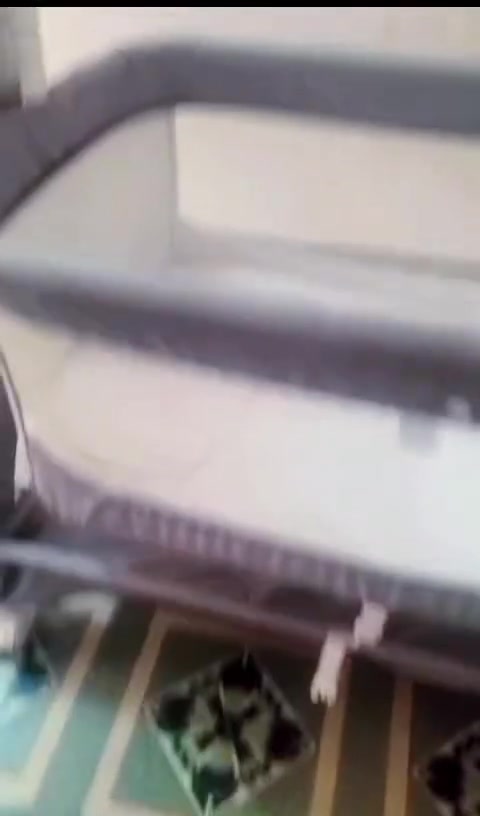 كاروك للبيع كلش جديد استعمال قليل مابي اي ضرر 
مواصفاته 
هزاز ع كهرباء بي 3درجات سرعه
وبي توقيت لهزاز 
موسيقى بلضافه ربط ع بلتوث
وضوه 
وناموسيه
سعره 95بي مجال بسيط


**إذا كنت صاحب هذا الإعلان وتريد حذفه لأي سبب، رجاءا أرسل رسالة إلى الدعم الفني**