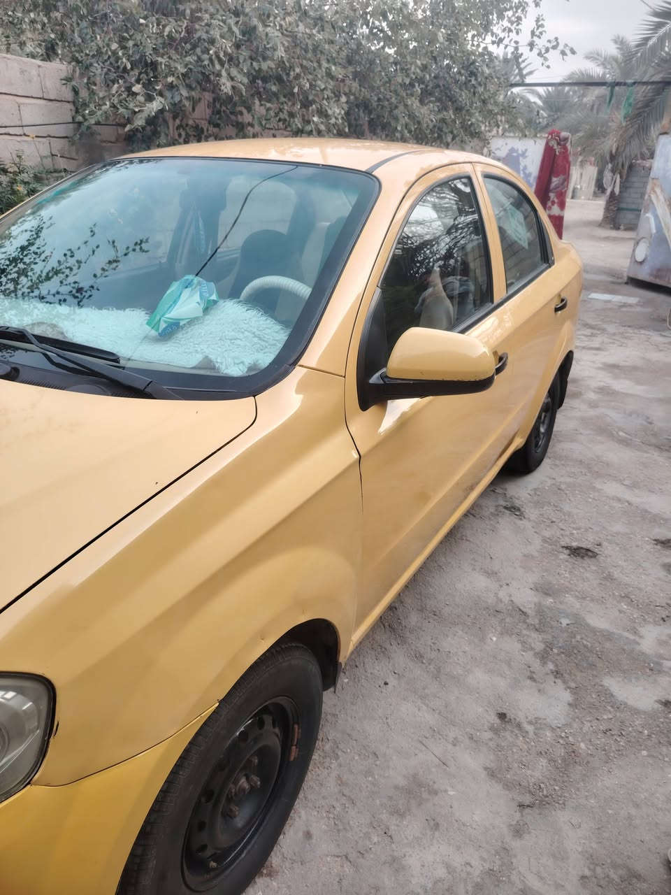 افيو خليجي موديل ١١ مكفوله كفاله عامه مكينه وكير وكشر كلشي مكفول السياره خير من الله كير عادي السعر 55 او ترهم مراس بكيه باص لاستفسار *********** بي واتساب
