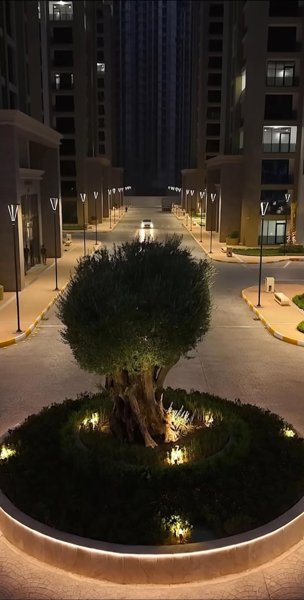 فرصة سكن مميزة

شقة للبيع في 🌴أبراج النخلة – Palm Towers 🌴
مساحة  224 متر
شقة ركنية بإطلالة مميزة
استلام مباشر – جاهزة للسكن
 الطابق الثالث

📞 للاستفسار:***********
