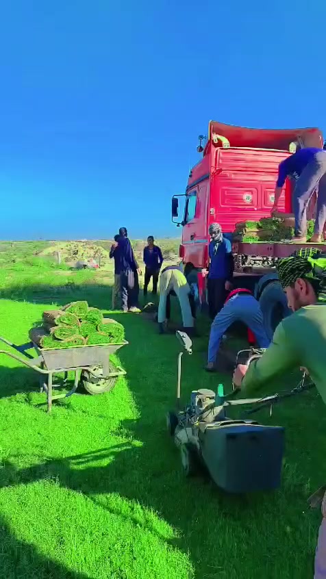 مزارع  الشمال للثيل الطبيعي 🍀
متوفر كافة انواع الثيل 🍀
( امريكي - الهندي - الايطالي - الفرنسي )
لتجهيز... مشاتل🌴
والدوائر حكوميه🏦
منازل🏡 
منتزهات🏄
موجود خدمة توصيل 🚕
لكل محافظات العراق 🚕
للطلب يرجى التواصل مع الصفحة او مراسلة واتساب او الاتصال على :
***********
