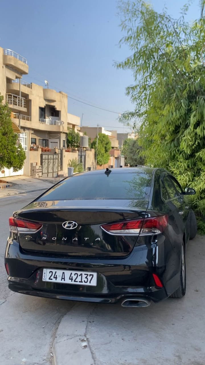 هونداي سوناتا موديل ٢٠١٩ فول فول بةس سلايت نية 
سةيارةكة مواصفاتي فولة . بةسمة . شةغال . رادار . دوو كوشن كارةبايي .كوشن جلد . دوو كوشن هيتةر . تةبريد مةركةزي. لايت وتو . فلچة وتو سةيارة زور زور جوان و خاوينة 
وةكو سبوخ .. نيو چةمةلاغي پشتةوة سبوخة بي ژوري بي ايرباگ بةشةرت  پيشو پشتي كةپسة 
٧٥ هزاري حةقيقي رويشتية 
قةپاخي سةري مةكينةي كرايتةوة بةس بةشةرتي ١٠٠ فيتةر دةي فروشم 
سةيارةكة لة جواني رةقةم يةك جوانة 
***********
واتس ئاب كوريك أربيل, العراق
