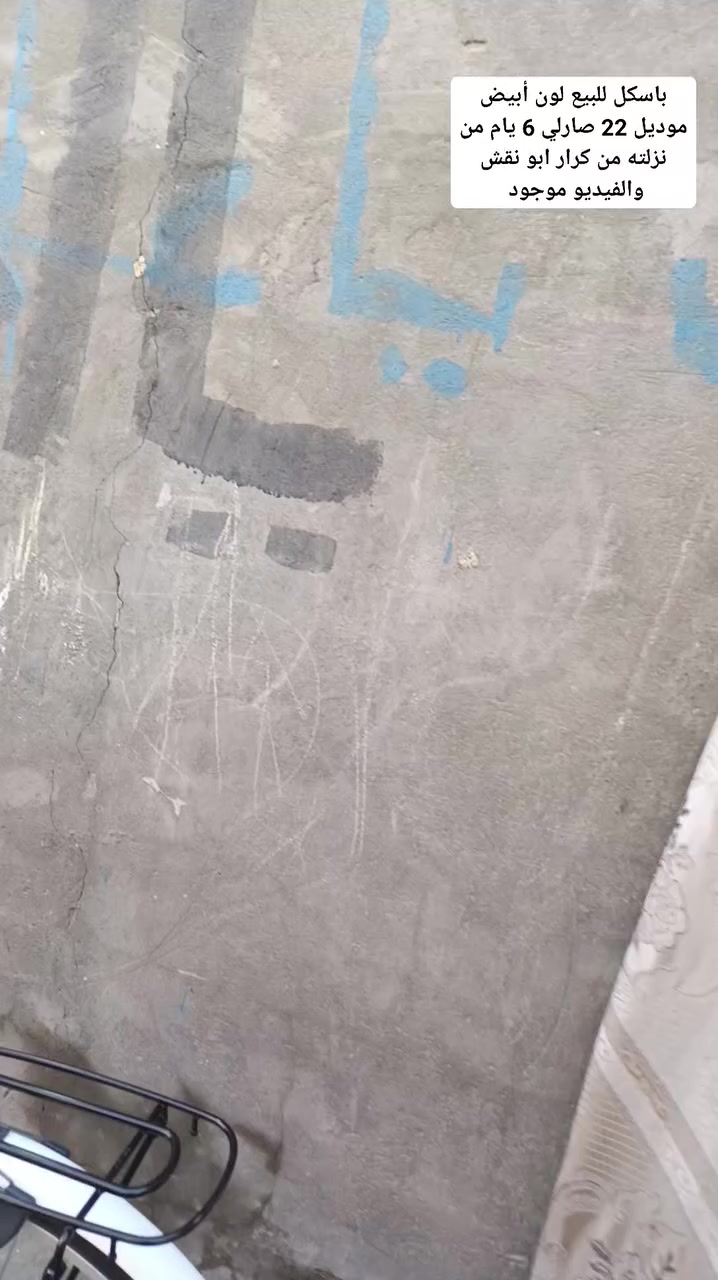 سلام عليكم باسكل للبيع حجم 26 لون ابيض موديل 22 صارلي 6 يام من نزلته من كرار ابو  النقش شراي طب خاص موشراي اطلع كبل السعر 150 وبي مجال المكان نجف


**إذا كنت صاحب هذا الإعلان وتريد حذفه لأي سبب، رجاءا أرسل رسالة إلى الدعم الفني**