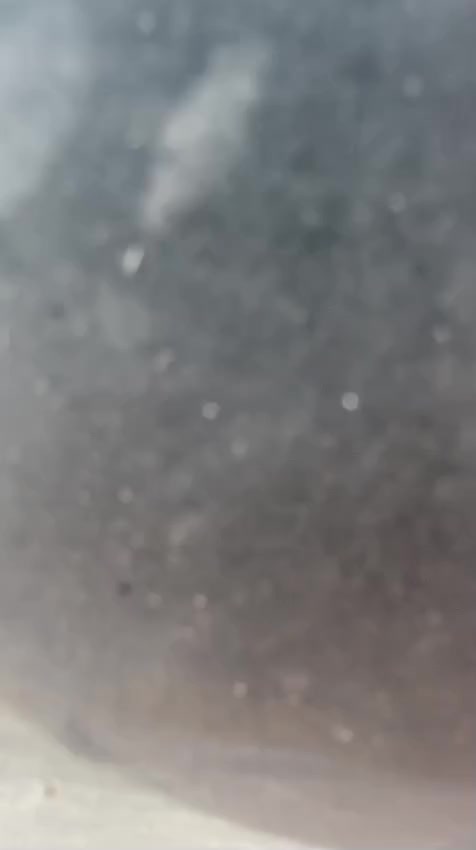 لادوخ ولاتحتار الشركة العالمية علي الفريجي أفضل اختيار اسعار تنافسية والمصداقية بلعمل والضمان الجودة العالية


**إذا كنت صاحب هذا الإعلان وتريد حذفه لأي سبب، رجاءا أرسل رسالة إلى الدعم الفني**