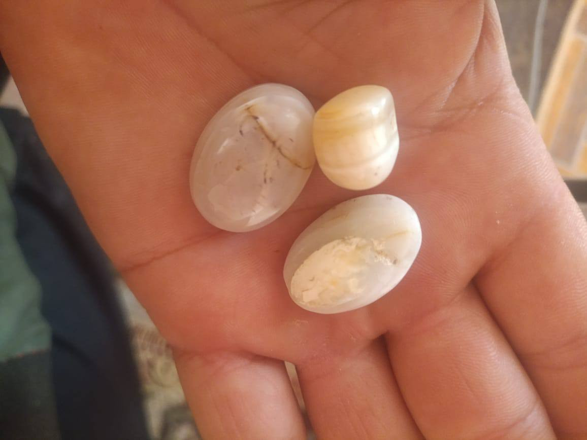 سعره خااص ومناسب


**إذا كنت صاحب هذا الإعلان وتريد حذفه لأي سبب، رجاءا أرسل رسالة إلى الدعم الفني**