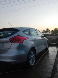 فوكس • ٢٠١٨ • مصبوغه