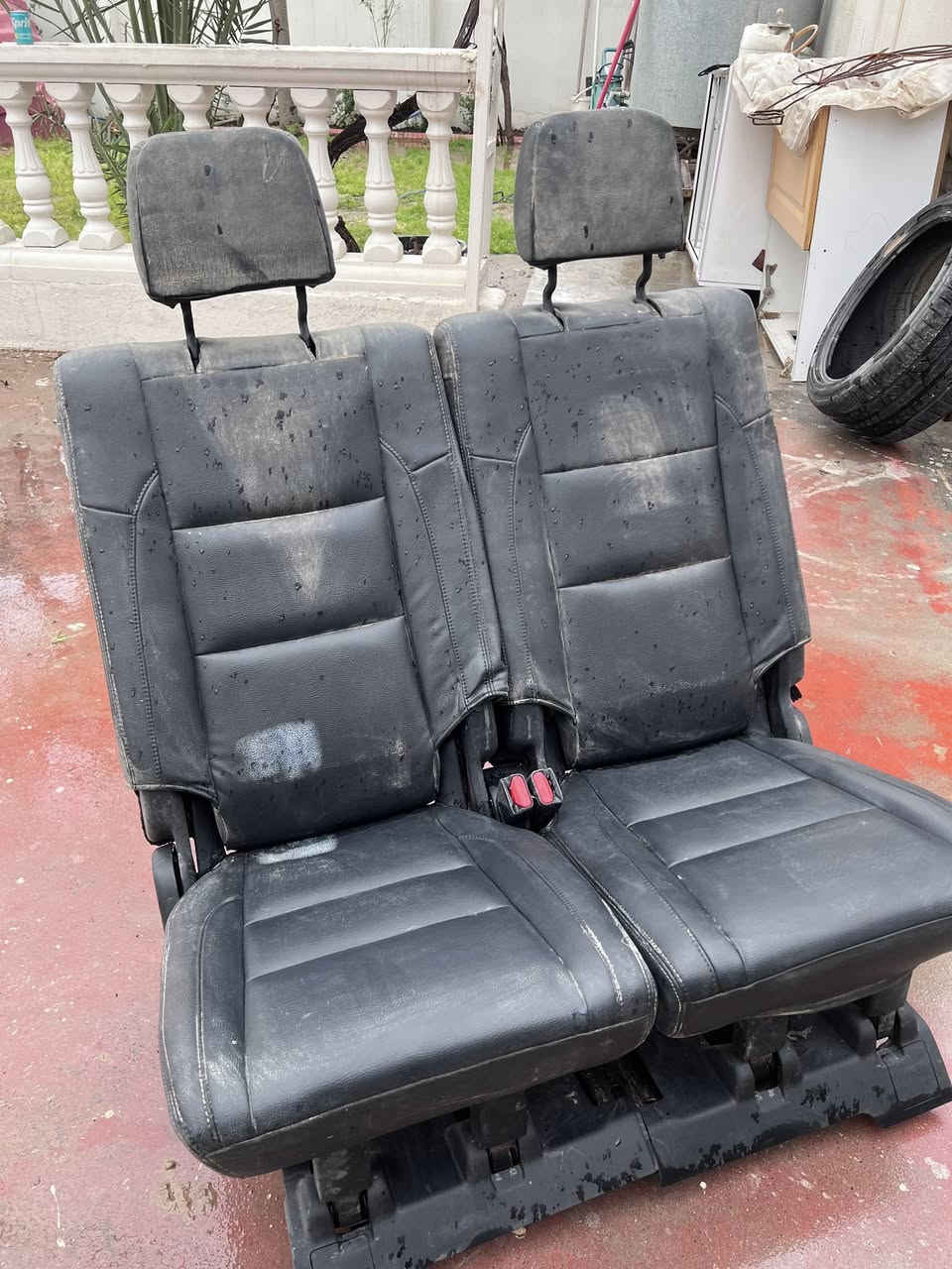 كشنات دوج دورينكو ٢٠٢٣
مقعد ٣
*********** وتساب
